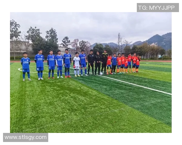 深入浅出足球知识探索让你成为球场上的小专家